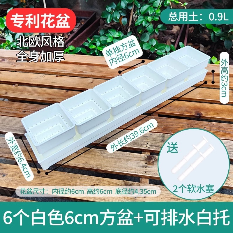 樹脂多肉植木鉢大口径小白角コンビネーション台座付きトレープラスチック通気植物専用根付き鉢|undefined