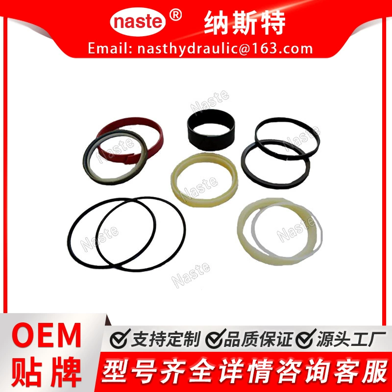 Case 297895A1 комплект уплотнения цилиндра ковша экскаватора для Case 590SM и SM III