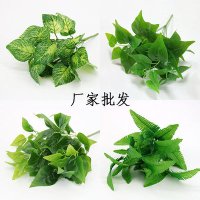 仿真植物綠植盆栽插花配材塑料假草蕨類波斯葉子隔斷裝飾綠蘿紅掌