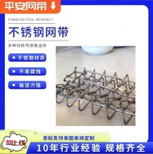 专业生产太阳能烧结炉光伏晶体网带255宽顶针边缘接触式输送网带