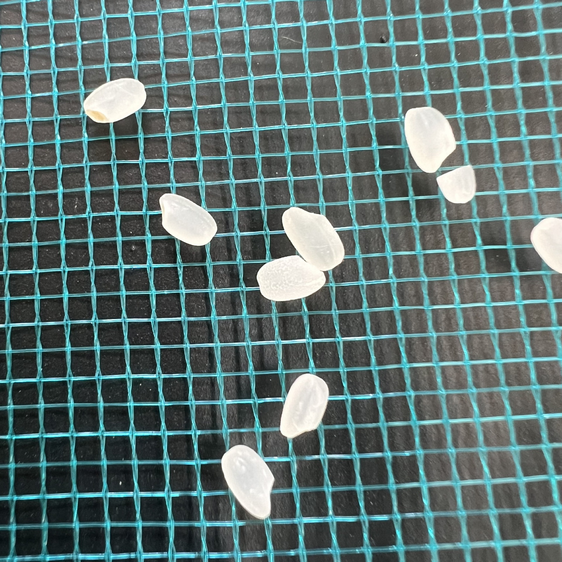 0DCDE36B89CAF59FC330D0A608EEED