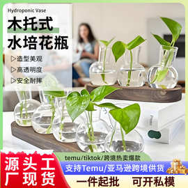 圆形灯泡塑料花瓶水培绿植办公室客厅装饰木底座透明植物花盆摆件