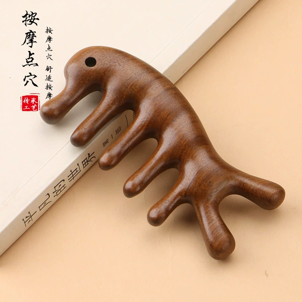 Golden Sandan little dolphin