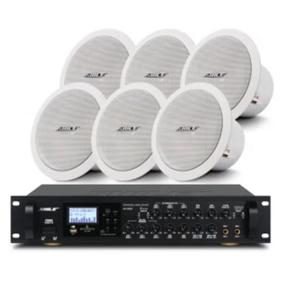SHILE/Lion Music AV8820 BX206 One-to-Six Top Sound System 6.5-inch Fixed Resistance Top Horn