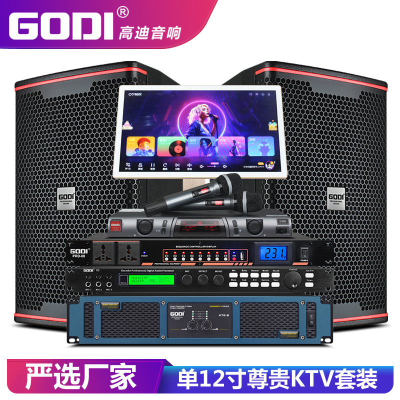 Godi Professional Ktv Set 12inch Karaoke Speakers Complete Set of Karaoke Machine Conference Room Bar Home Audio
