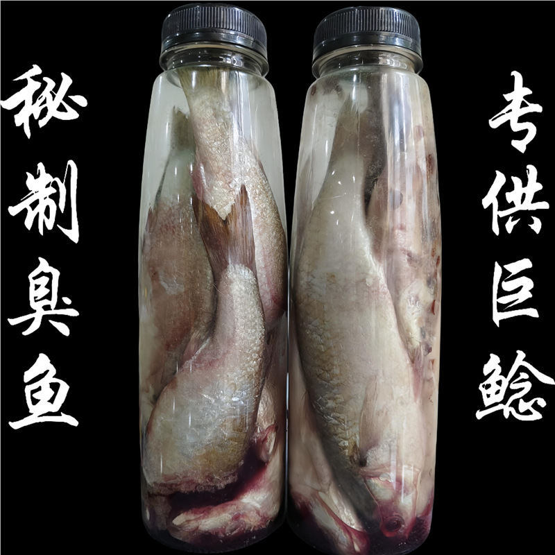 臭鱼钓鲶鱼饵恶臭钓饵臭鱼王鲶鱼黄颡鱼塘鲺江河湖库野钓野