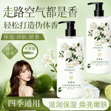 SlƷ500gﶬaˮˬāo˪