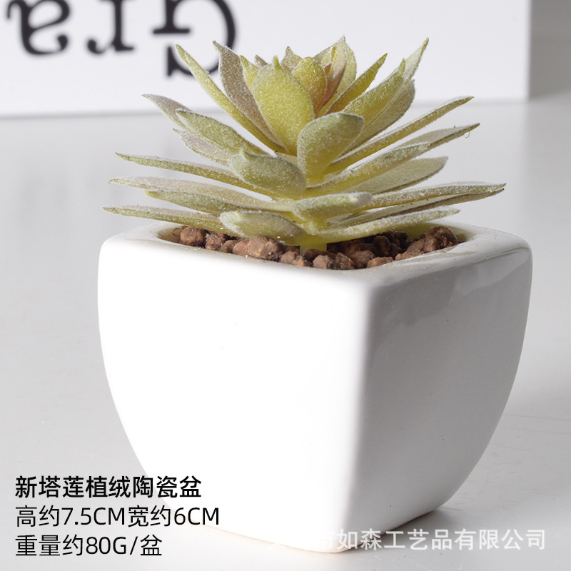 Simulación de cerámica bonsai de carne doméstica decoración de escritorio de oficina plantación verde maceta props de disparo maceta combinada artificial image 63