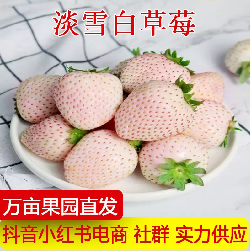 顺丰空运淡雪奶油白草莓新鲜水果礼盒节日生日礼物非丹东99草莓