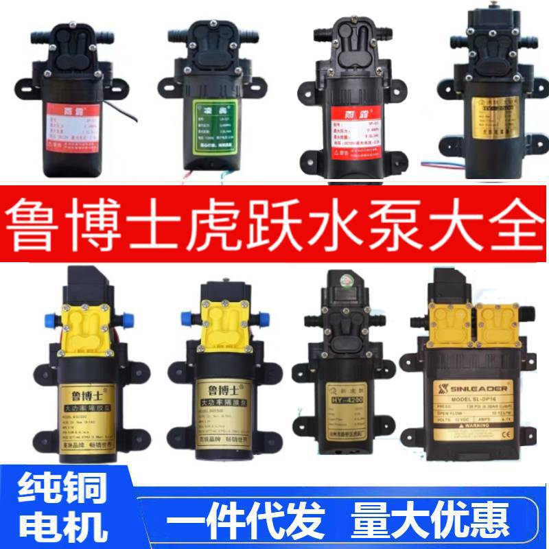 Agricultural Electric Spray Water Pump Diaphragm Pump 12V High-Pressure Pump Pure Copper Water Pump Electric Pump Pesticide Pump Wholesale Agricultural Electric Spray Water Pump Diaphragm Pump 12V High-Pressure Pump Pure Copper Water Pump Electric Pump Pesticide Pump Wholesale