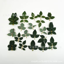 36�����uͨ�¿����Gֲõ���~���bDIY���컨ֲ��l���b��ϰ�