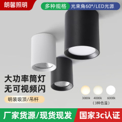 LED明装筒灯工装スポットライト吊線灯長筒円柱5000K吊り棒COB明装工事筒灯
