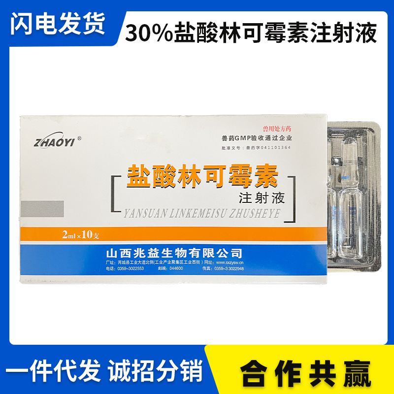 兽药兽用30%盐酸林可霉素注射液猪牛羊犬猫螺旋体支原体感染2ml