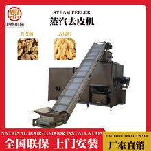 杏仁内皮蒸汽去皮机 坚果深加工设备 农产品加工全线