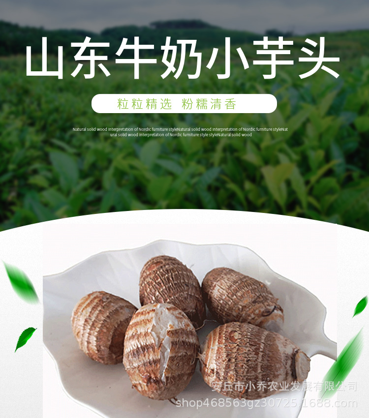芋头2024详情图