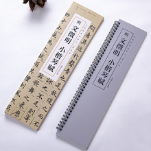 明文徵明小楷琴赋 经典碑帖临摹卡 洪亮主编 文征明琴赋 近距离临