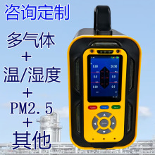 便携式氧气氮气氩气纯度分析仪臭氧氨气浓度测试仪温度湿度检测仪