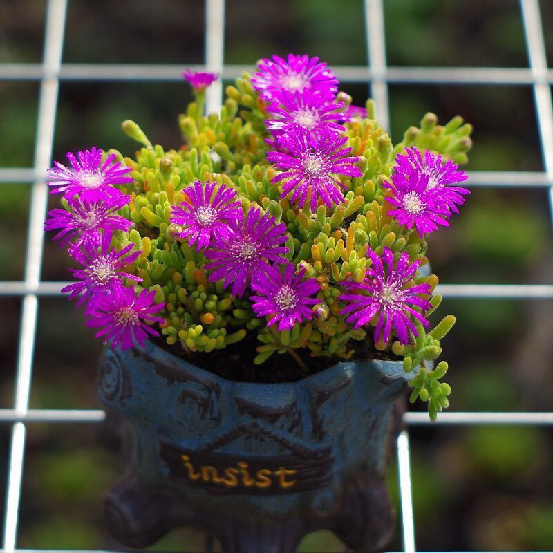 5c8d4608-9614-4aee-9b30-6a6cad02d86f.jpe