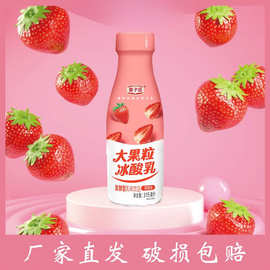 子园大果粒冰酸乳莓果味315ml/瓶发酵乳酸菌饮品早餐奶整箱