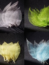 �ưɰٿ�����~�˱��{�Ǝ������uβ���b������ɫ���x10Ƭ�b