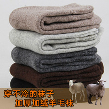 羊毛袜 冬季男士加厚毛圈保暖袜 超厚兔羊毛绒毛巾底男袜子批发