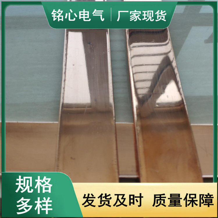 电力沟接地镀锡铜扁钢 铜包钢扁钢 镀铜钢绞线 规格全