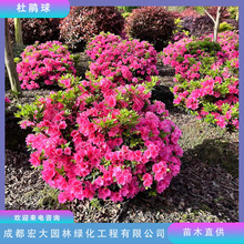 �������lë�N���N����N��ͥԺ�҃��^�p��������е��G��ɫ�K�G�h