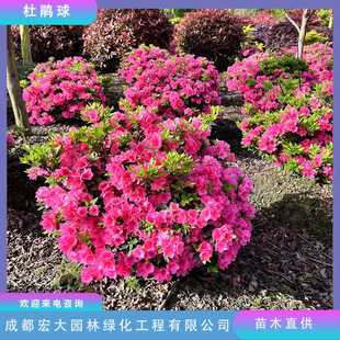 �������lë�N���N����N��ͥԺ�҃��^�p��������е��G��ɫ�K�G�h