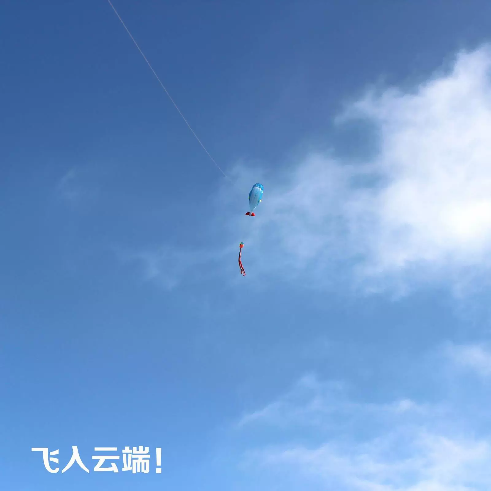 Kite for adults
