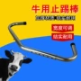 兽用不锈钢固定器母牛