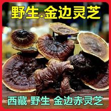 ]Ұ`֥߅`֥ߺγ`֥ɼ`֥KK