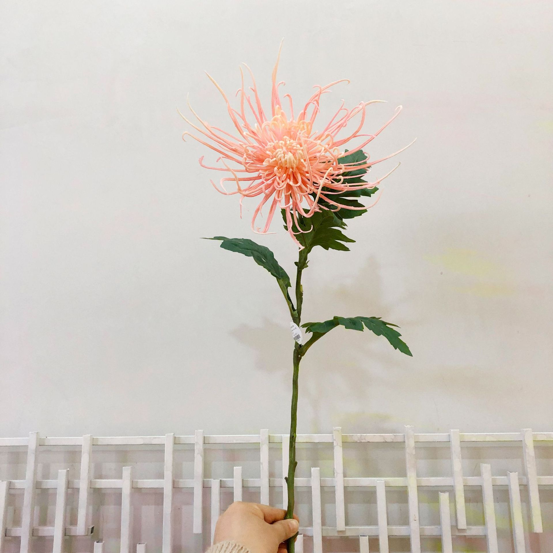 兰蔻火树银花 (4)