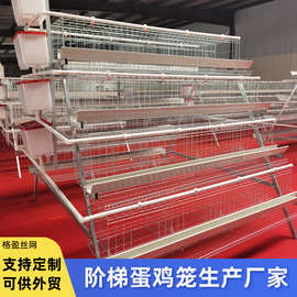 阶梯蛋鸡笼四层养殖厂A型蛋鸡笼鸡窝热镀锌阶梯式蛋鸡笼养鸡设备