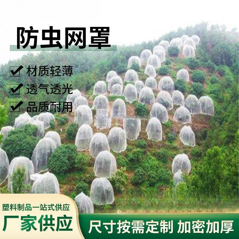 跨境植物束口果树植物防鸟网花园网防虫网片蔬菜覆盖网防虫罩