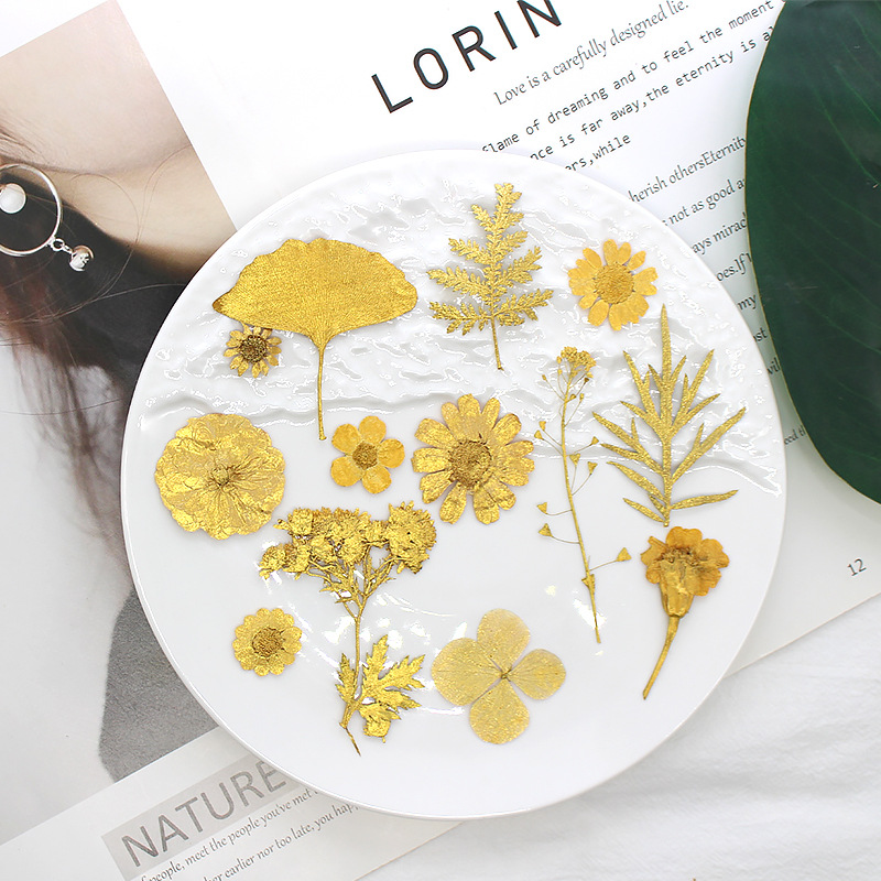 金色花材工厂直销干花压花黑色系列植物标本真花树叶押花材料包