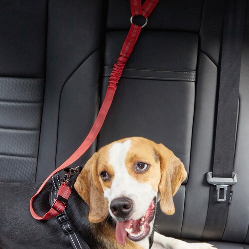 Cross-border pet supplies best-selling pet car safety seat extendable dog leash walking rope dog rope