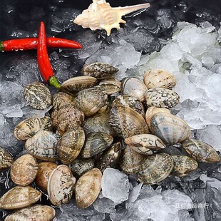 3���b�B노ۺ��r���r�����r����ۻ�͘���sɫ�򻨸���ؐ����l