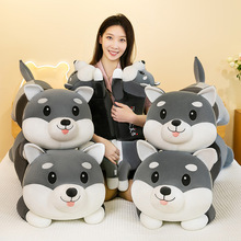 ��ɫ��ʿ��ë�q��߹��ж�������ſſ����ż���ޱ���Ů���Y�����l