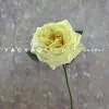 Litchi rose yellow