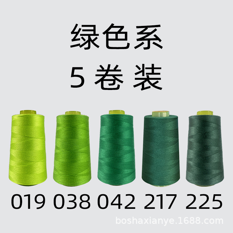 녹색 계열 5롤 묶음