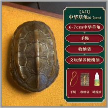 ����������Ȼ���׸Ƀ�����������س�������׽������ְѽ��X�[��