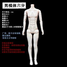 新款男模体6分mjd素体男体练妆娃娃机械关节裸妆练妆娃头男送脖卡