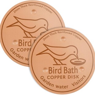 �羳���R�d���~�Bԡ�����PT2���~�|ƬBird Bath Disk�Bˮ���坍��