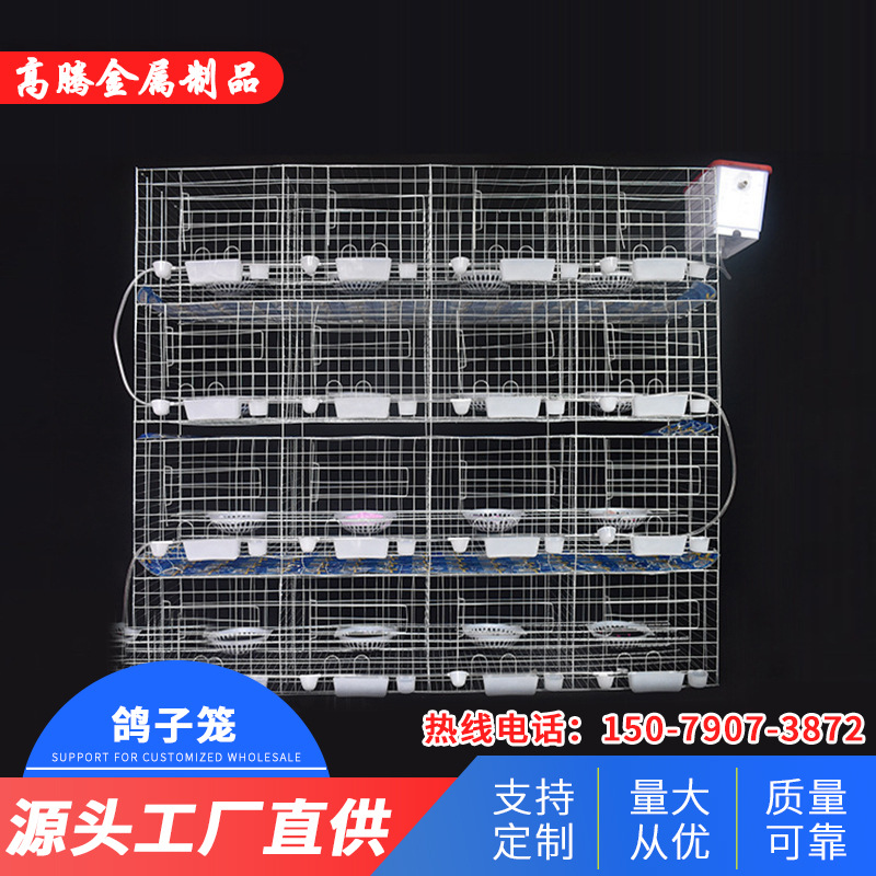 厂家批发鸽笼8-16位养殖设备加粗镀锌防锈16对鸽子笼 白鸽笼饮水