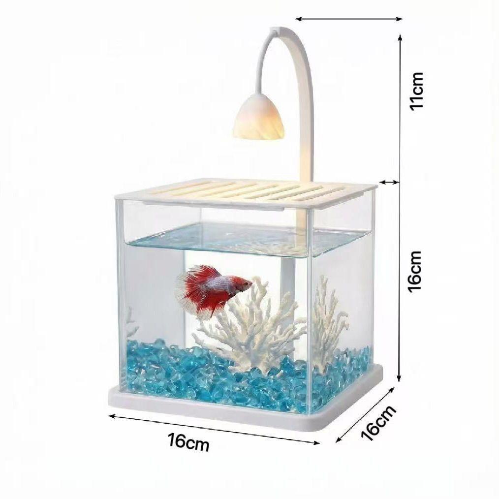 Acrílico rosa lámpara acuario con lámpara de escritorio ultra blanca atmósfera lámpara de oficina cuadrada ecológica paisajismo con cubierta acuario image 6