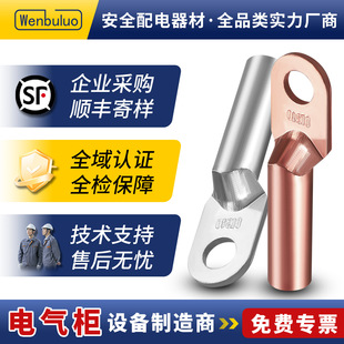 Dt Copper Nose Wire Connector Copper Tube Nose Copper A-Grade National Standard Crimping Lug Cable Wire Nose Copper Terminal Block