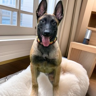 ���N���t�RȮ��Ȯ���w���������r�RȮ����Ȯ����Ȯ����С������