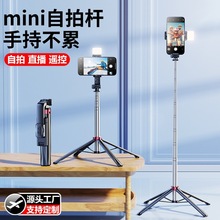 ���_���ėU�֙C������_�ܱ�yʽ�ֳ֑�����s�{���Ĕz֧�����l