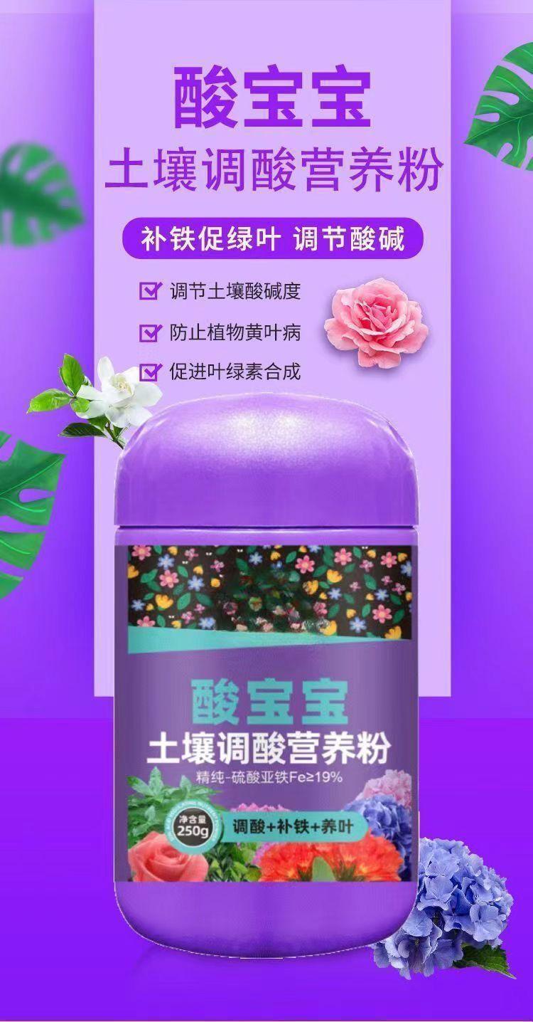 详情图