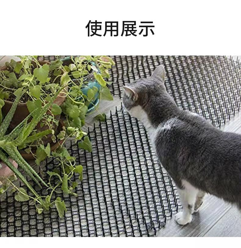 微信图片_202109031008253